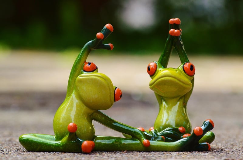 Pilates Barre Exercise